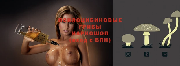 Альфа ПВП Михайлов