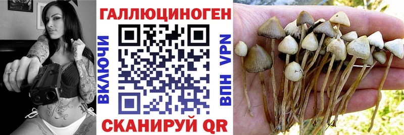 Галлюциногенные грибы MAGIC MUSHROOMS  Мглин 